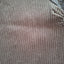 FB Sister Crop Top Spitze 36