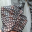 Bodyflirt Bodycon Minikleid 36/38