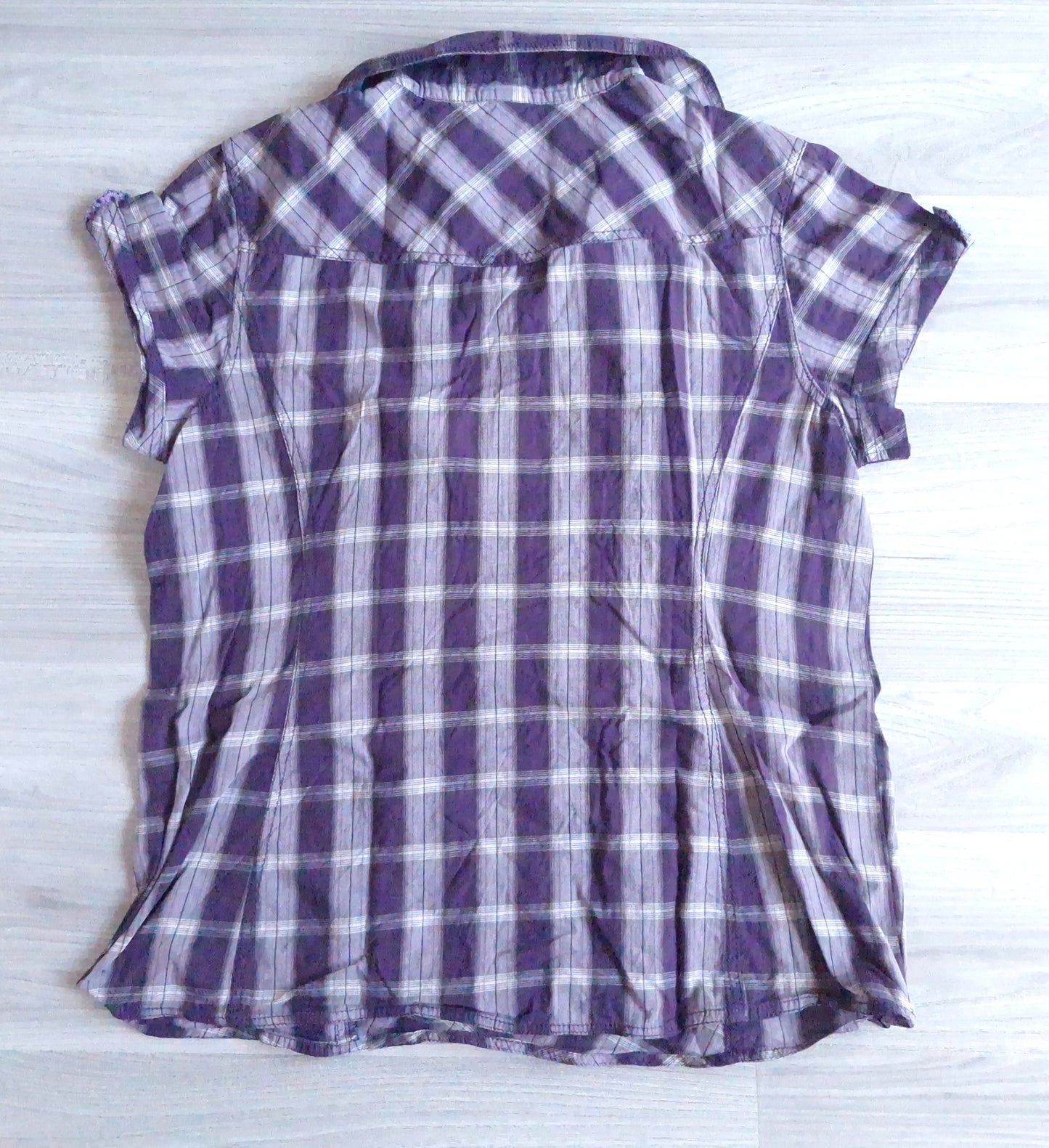 Cecil Karobluse Kurzarm 40