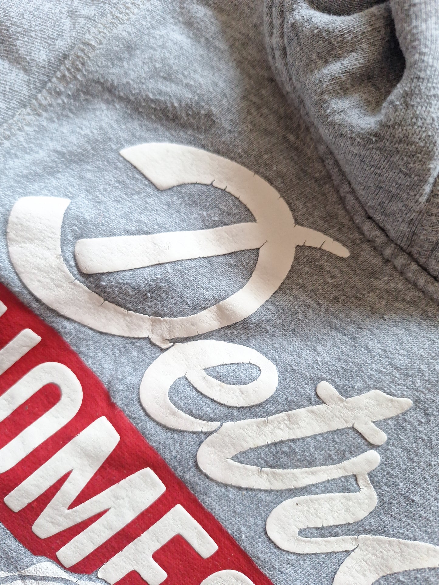 Palomino Kapuzenpullover Detroit 110