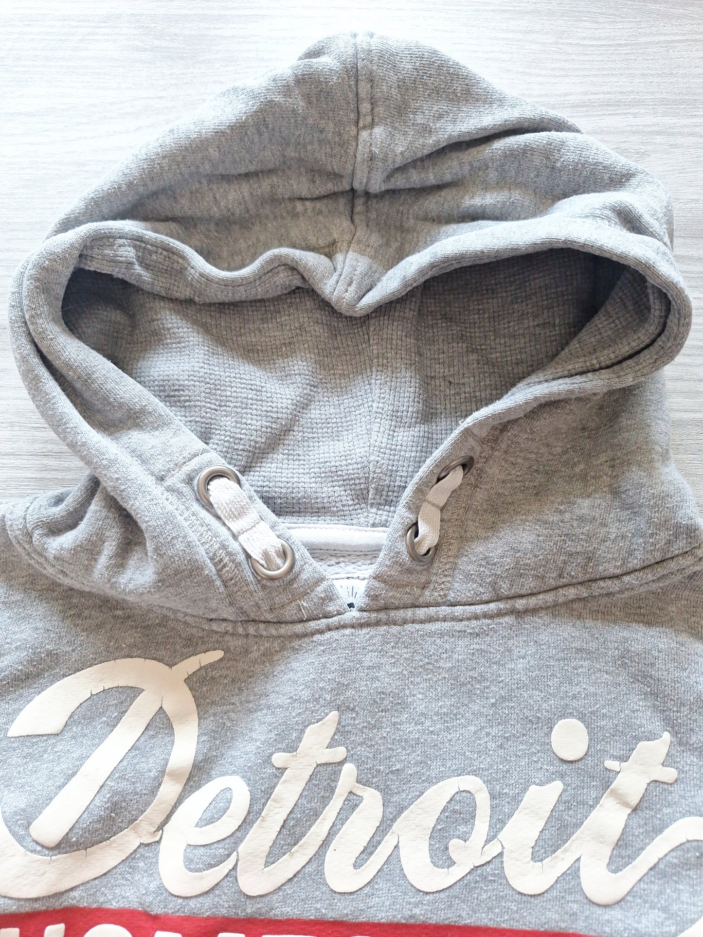 Palomino Kapuzenpullover Detroit 110