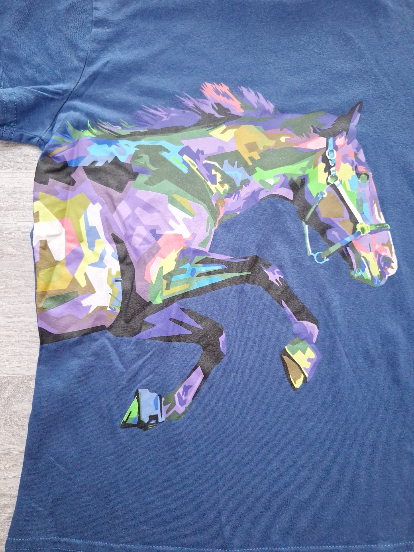 Crane Kids T-Shirt Pferdeprint 140