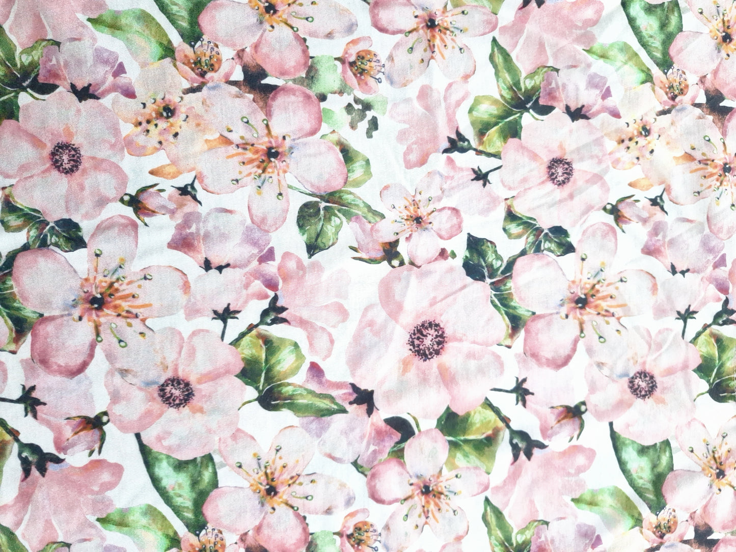 Montego T-Shirt Blumen 40