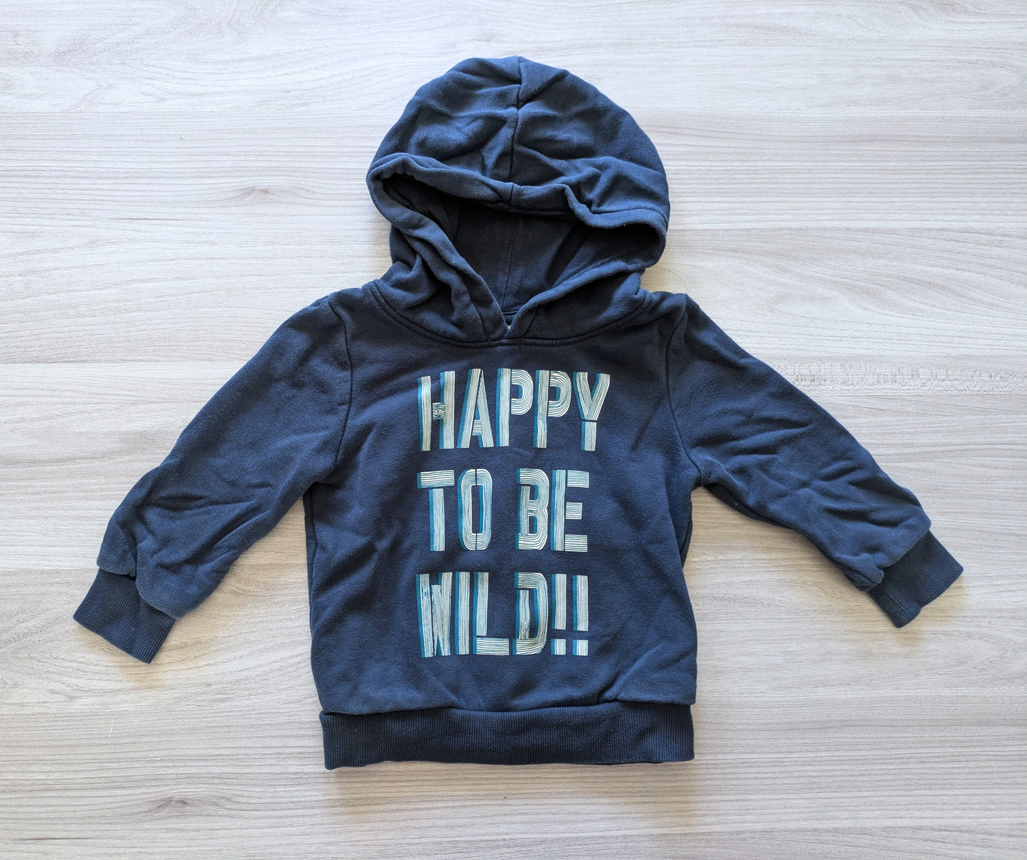 Palomino Hoodie Schriftzug 92