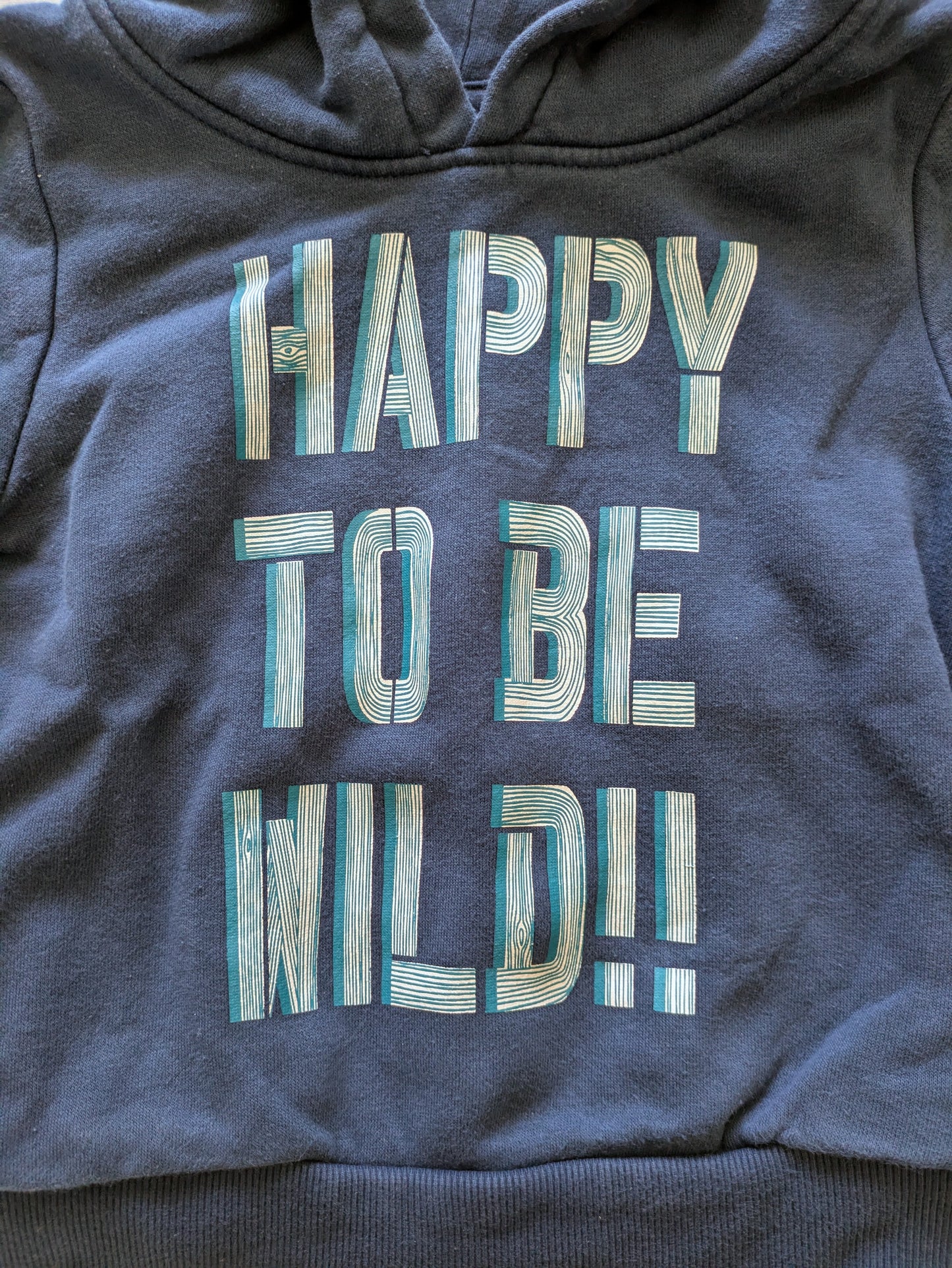 Palomino Hoodie Schriftzug 92